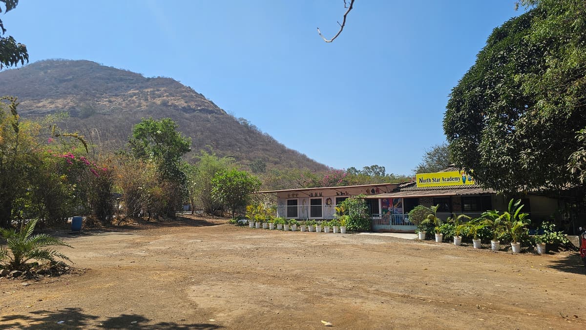 The yard